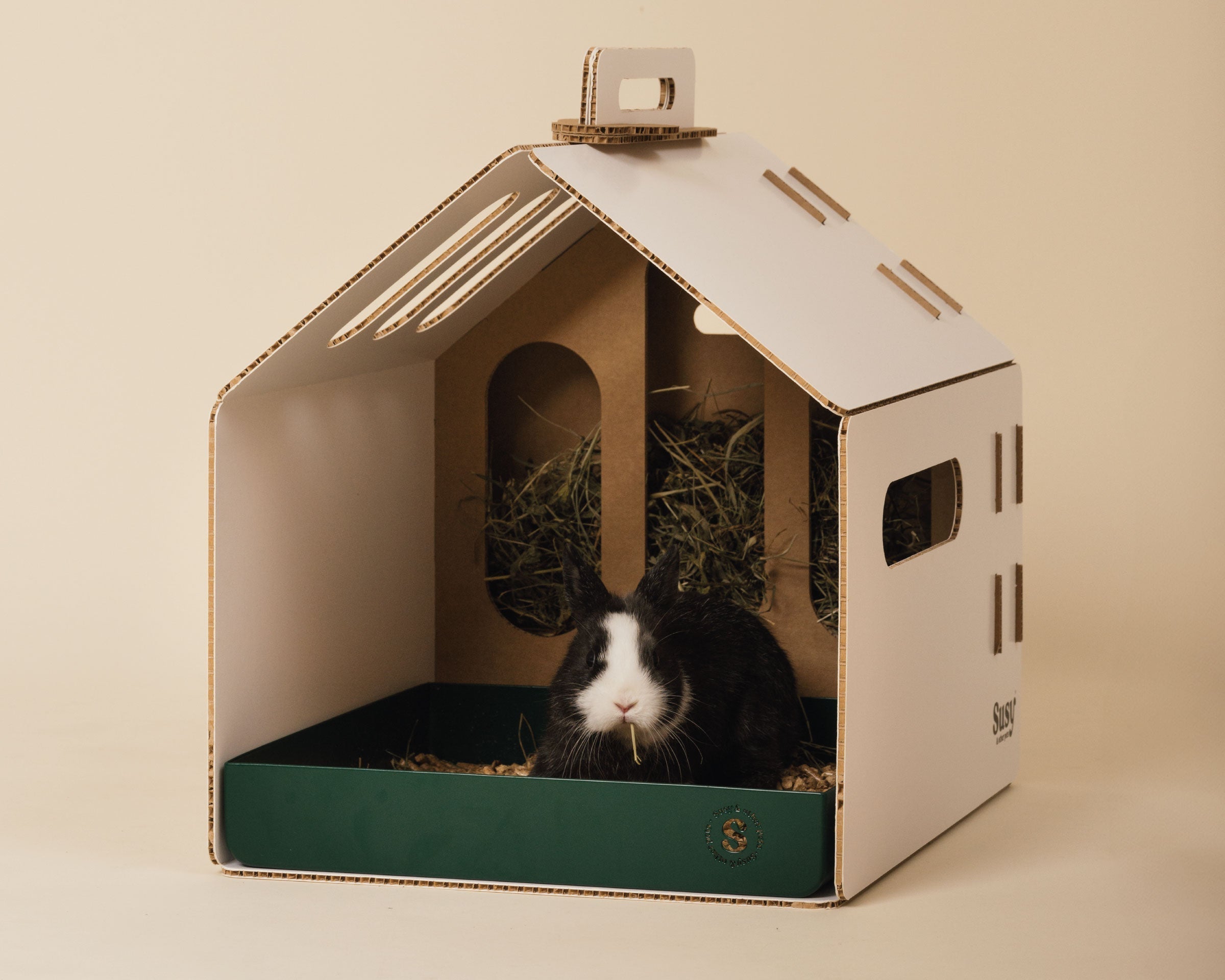 Cosa Mangia un Coniglio? Guida completa all'Alimentazione Corretta