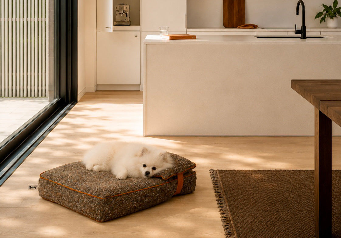 Cucce di design per cane toy e gatto: comfort che arreda