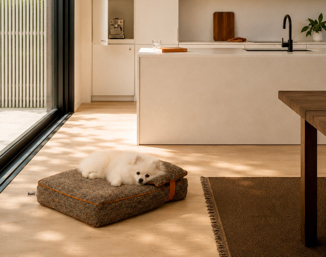 Cucce di design per cane toy e gatto: comfort che arreda