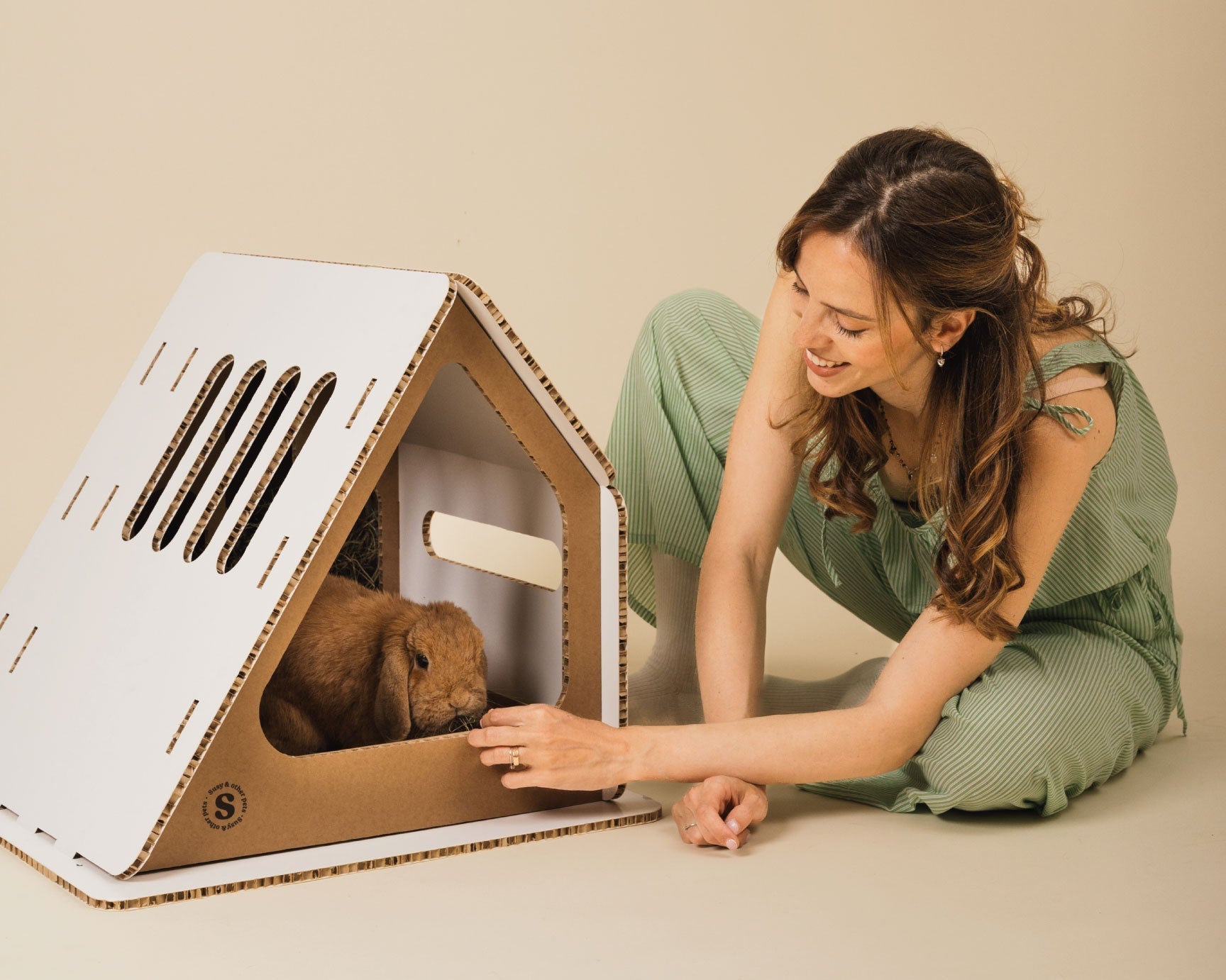 Rosicchiare è naturale (ma non significa distruggere): capiamo insieme la dentizione del coniglio