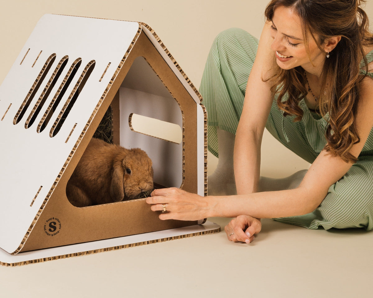 susy arredamento casa design per conigli