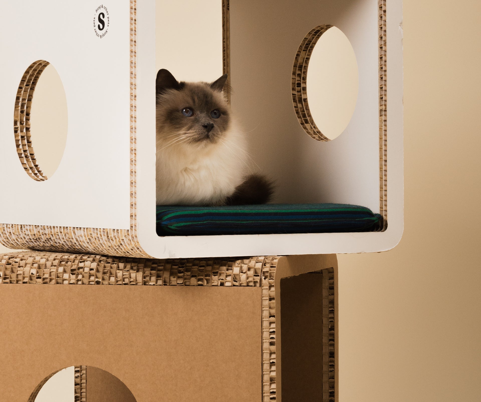 giochi benessere divertimento per conigli gatti cani