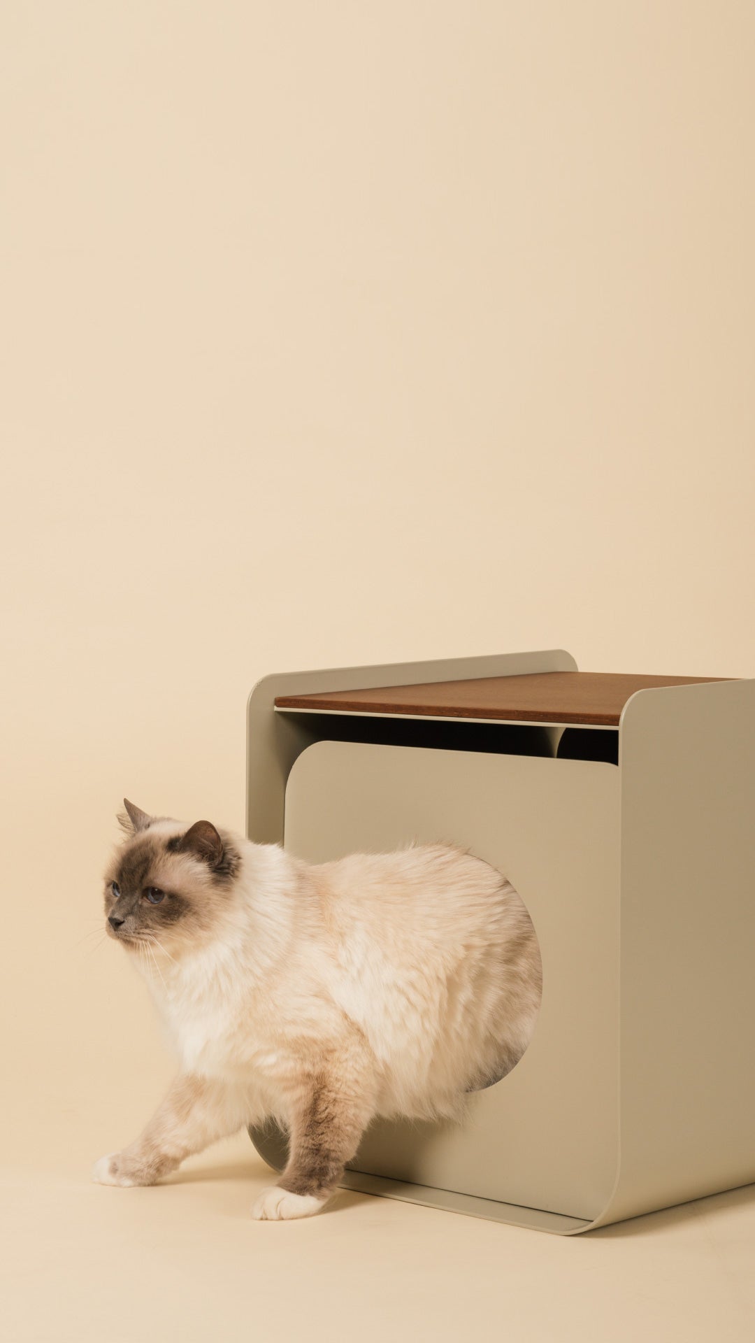 With Susy® 
your pet is home