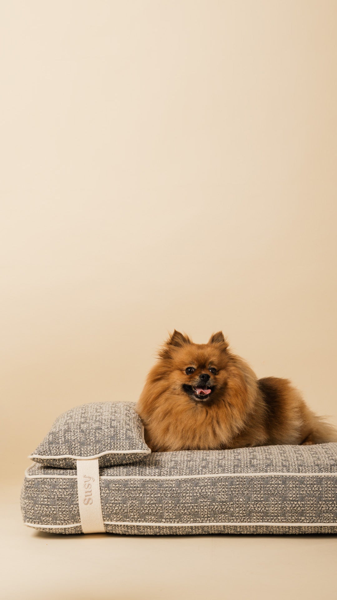 With Susy® your pet is home