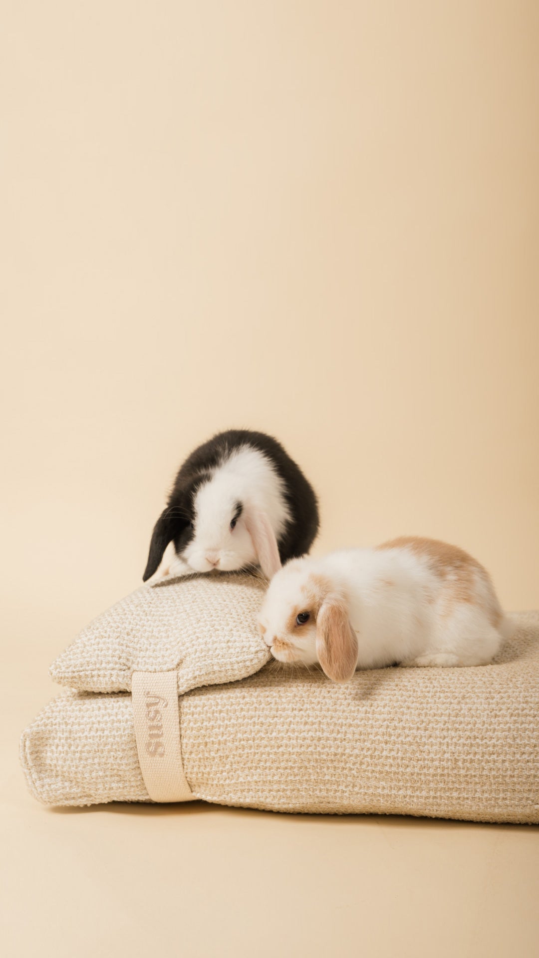 With Susy® your pet is home