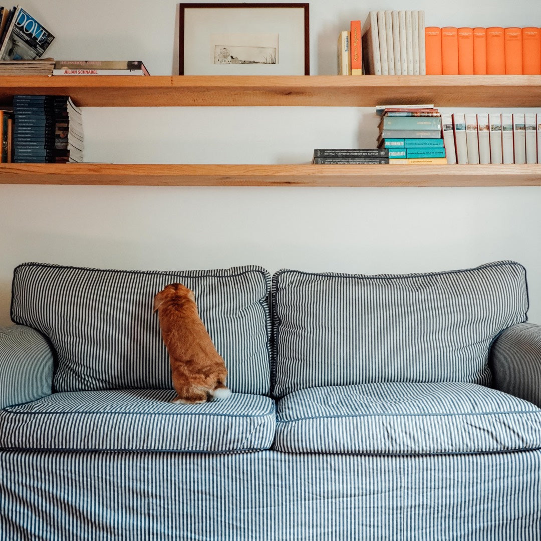 e-commerce online conigli animali domestici