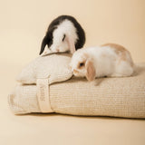 Oasi Nuvola • Letto cuccia relax