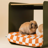 Oasi Scacchi • Pet Bed