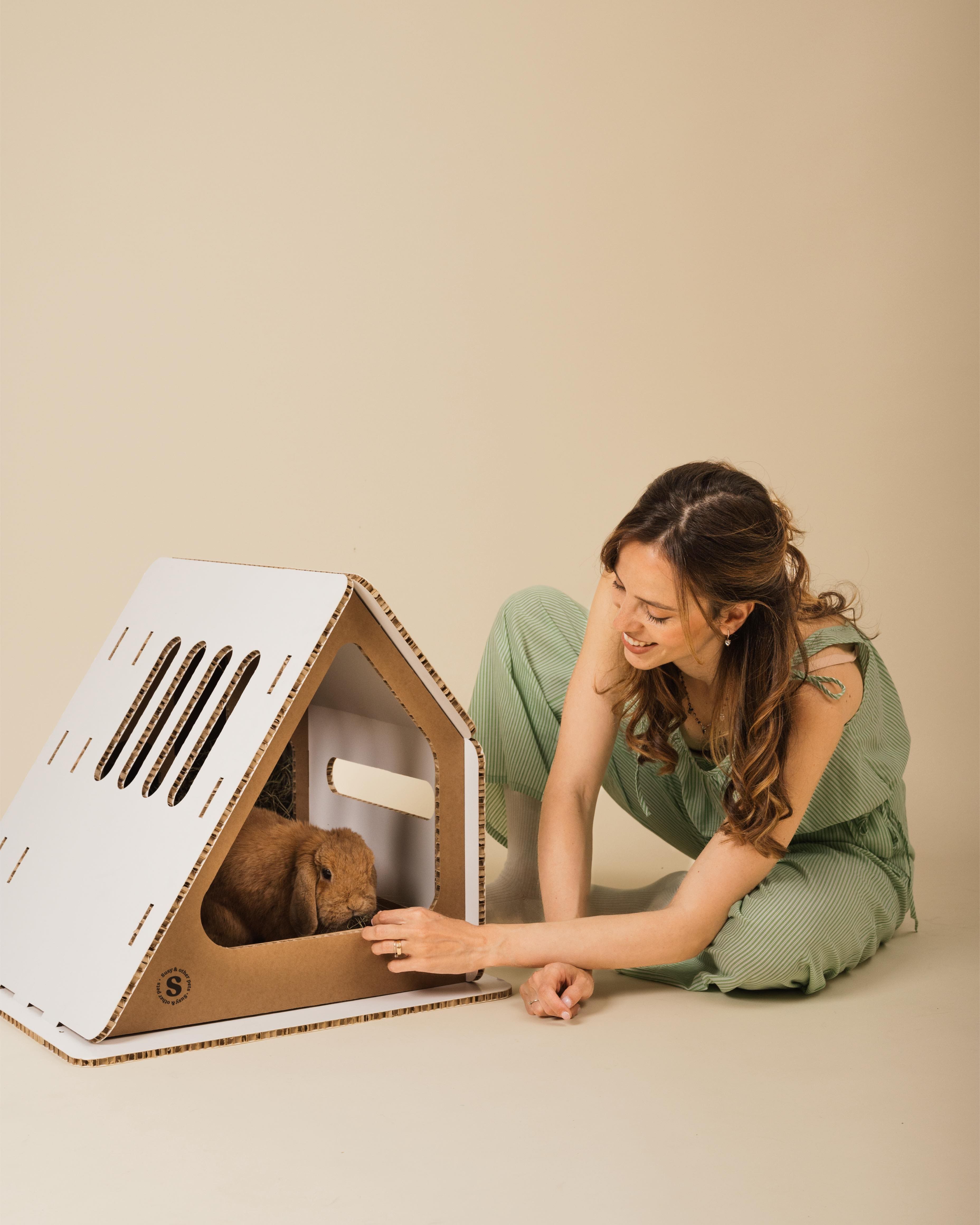benessere conigli animale libero vivere serenamente casa