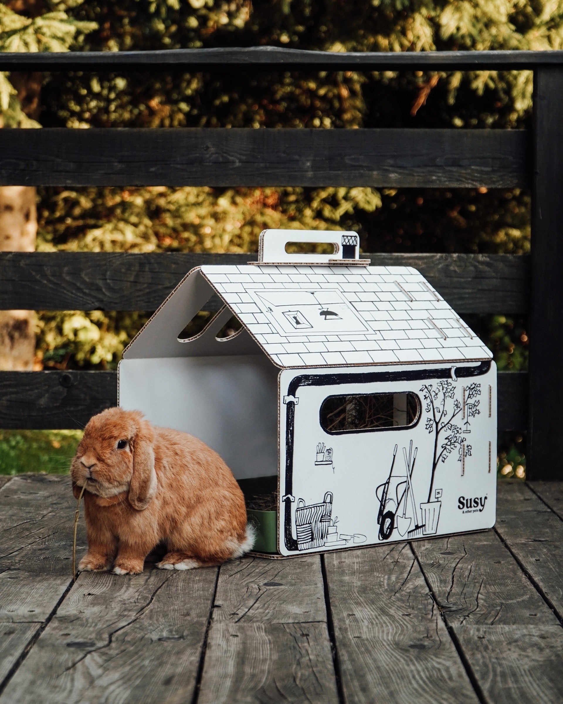 ecommerce animali domestici prodotti sostenibili