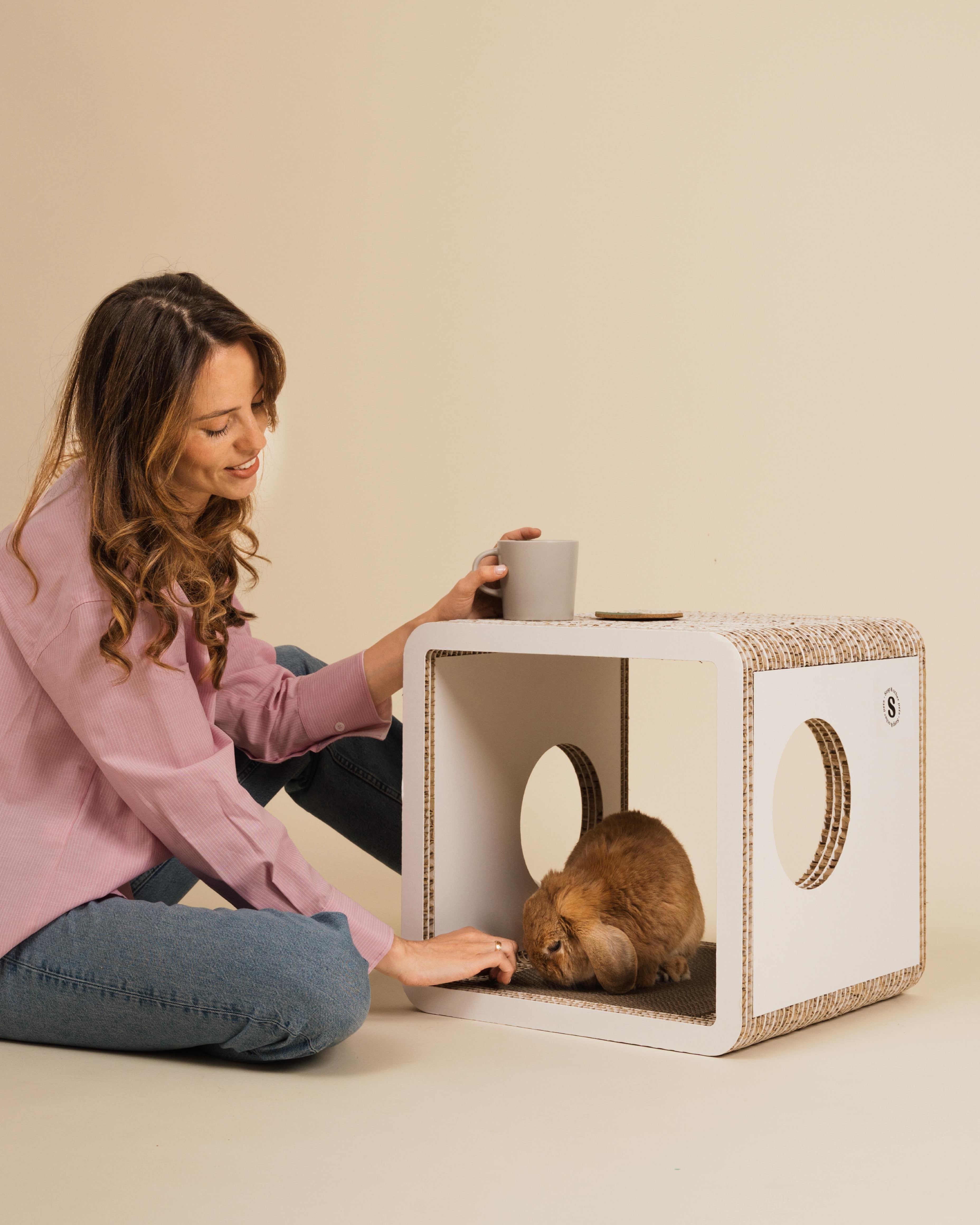 arredi multifunzione tane tiragraffi per animali domestici