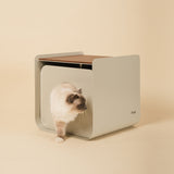 Dimora • Litter Box Side Table in Walnut-Stained Oak