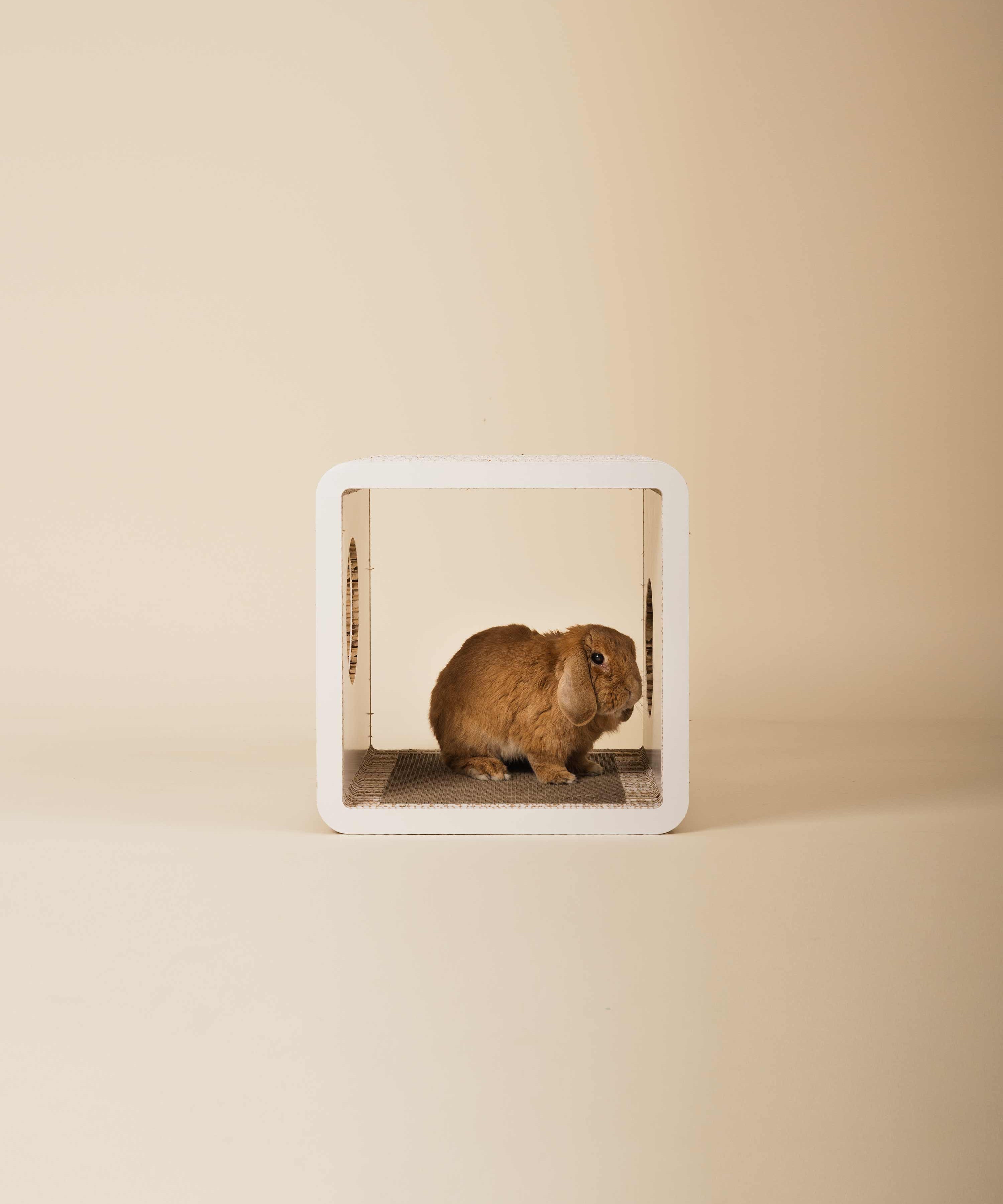 Tana • Bunny house cube